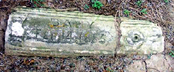 Grave Marker for Baby Robbins 