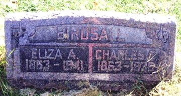 Grave Marker for Charles C. and Eliza A. Birdsall