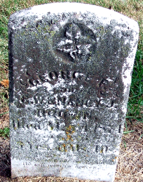 Grave Marker for George F. Brown 