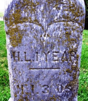 Grave Marker for H. L. Robbins 