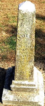 Grave Marker for James Palmer