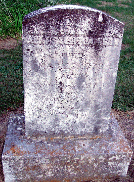 Grave Marker for Aunt SallieJamison