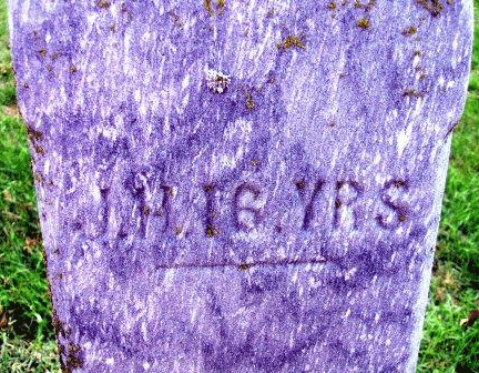 Grave Marker for J. H. Robbins 