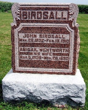Grave Marker for John and Abigail Birdsall