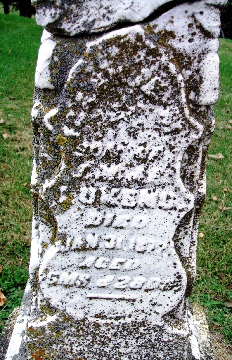 Grave Marker for Unlegible Lukins