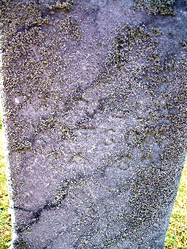 Grave Marker for Marilla Watson