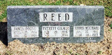 Grave Marker for James, Everette and Terry Reed 