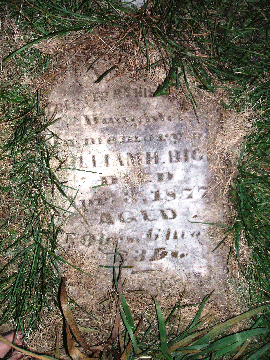 Grave Marker for William Bice